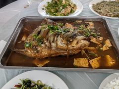 -庆岭迎宾园正宗活鱼馆