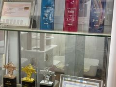 -青奢宠物·青奢猫舍