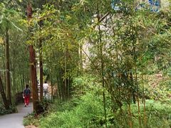 -藏龙百瀑风景区