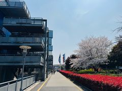 -IKEA宜家家居(南京商场)