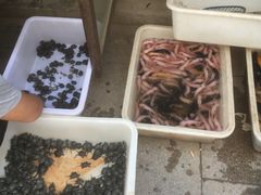 -中环花鸟鱼虫市场