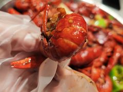 香辣龙虾-杨氏青龙虾·羊蝎子(金盛路总店)