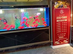 -臻享养生·SPA·影院式足道(汇臻店)