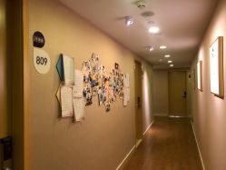 -海豚湾高端月子会所(黄浦店)