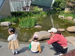 -活水公园