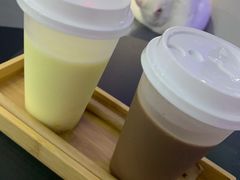 -极木²邸 人与宠物·互动社区