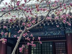 -潭柘寺景区