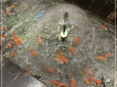 -蓝港海鲜厨房(金水路店)