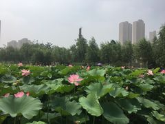 -前关湿地公园