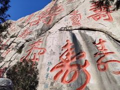 -崂山仰口游览区