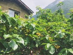 -水磨古镇
