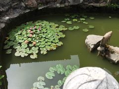 -宝岩生态观光园
