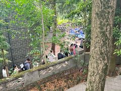 -成都老君山