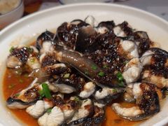 -宋小谨(惠安禹洲店)