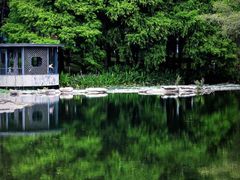 -四海公园(南山区)