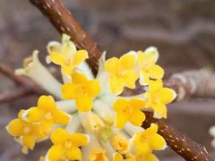 -利群海琴购物广场(商丘路店)