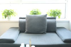 -臣丽纹眉品牌连锁