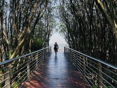 -上海吴淞炮台湾国家湿地公园