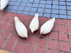 -泉城广场