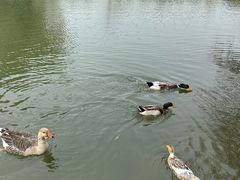 -J Create城市露营咖啡·简餐·宠物(上海动物园店)