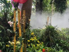 -中国科学院西双版纳热带植物园