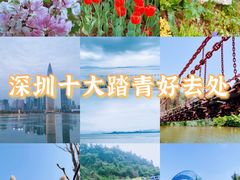 -深圳湾公园(南山区)