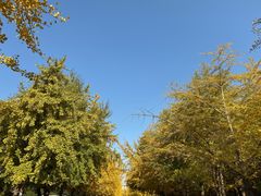 -辽宁大学(崇山校区)