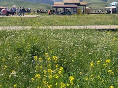 -新疆那拉提国家旅游度假区