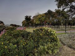 -上海山野camping·户外天幕烧烤·团建拓展营地