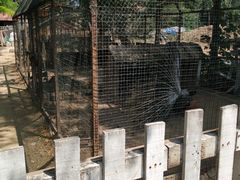 -意大利农场度假村