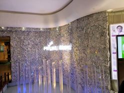 点击看大图 -深圳美莱医疗美容医院