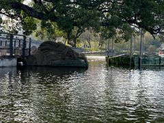 -东山湖公园