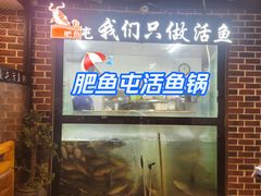 -肥鱼屯活鱼锅(惠工街店)