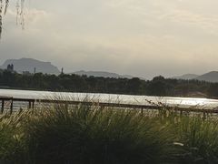-石家庄市植物园