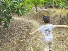 -塘栖枇杷特色园区