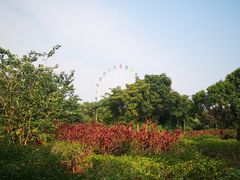-白沙门生态公园