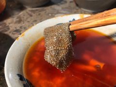 -星鸿社重庆老火锅