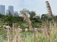 -桂溪生态公园