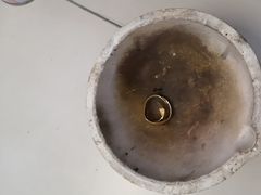 -小鱼中古奢侈品回收