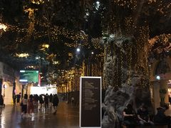 -云顶高原