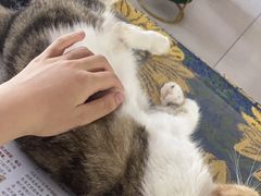 -平行世界·猫咖(首经贸店)