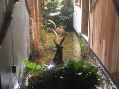 -邈墨茶馆(凤起路店)