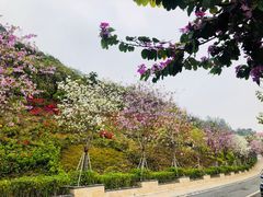 -小南山公园