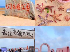 -日照灯塔风景区