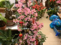 -双季花艺园艺市场(浦东店)