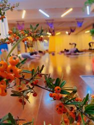 -皇冠瑜伽·普拉提·疼痛康复