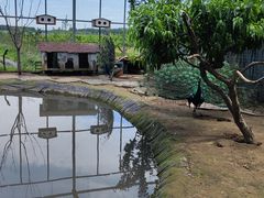 -河北村民俗体验园
