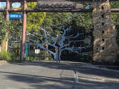 -南宁良凤江国家森林公园