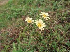 -盘龙城国家考古遗址公园