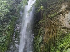 -莫里热带雨林景区